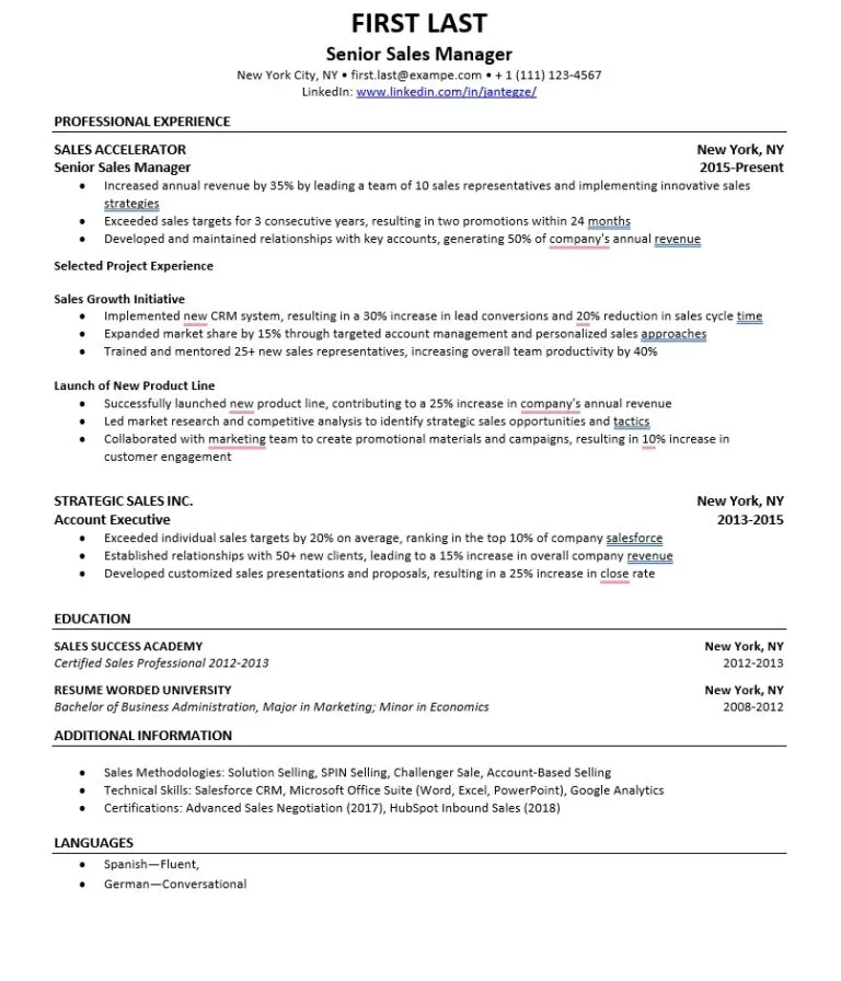 Professional Free Resume Template 1/free resume templates word download