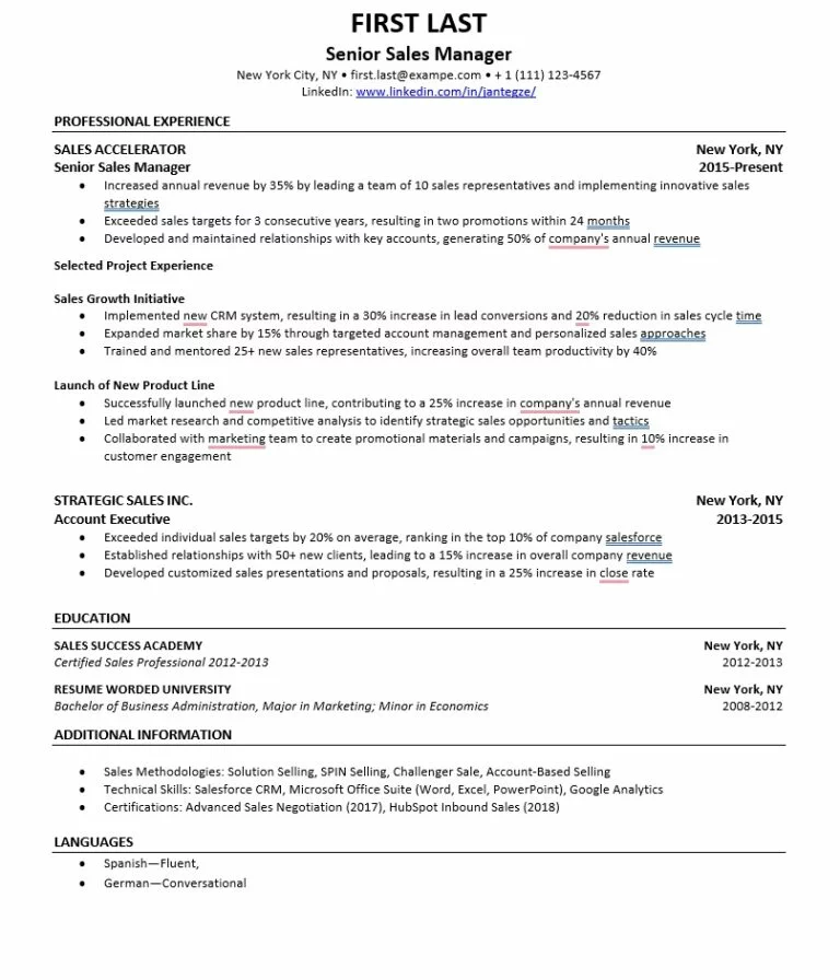 Professional Free Resume Template 1