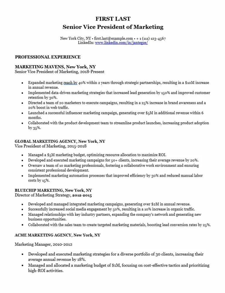 Professional Free Resume Template 2